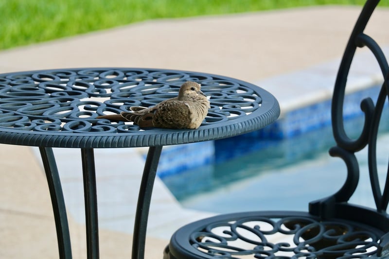 Patio decor tips
