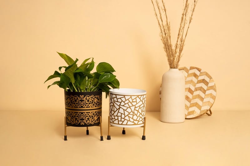 Succulent planter crafts