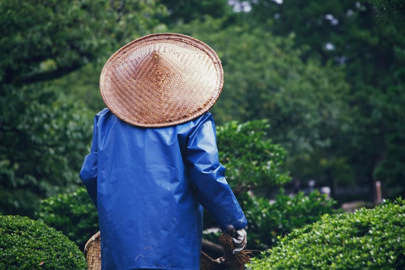 Summer gardening