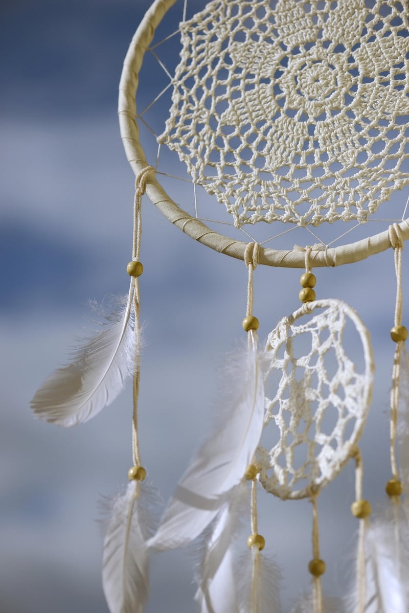 Macrame Hanging Plant Holders